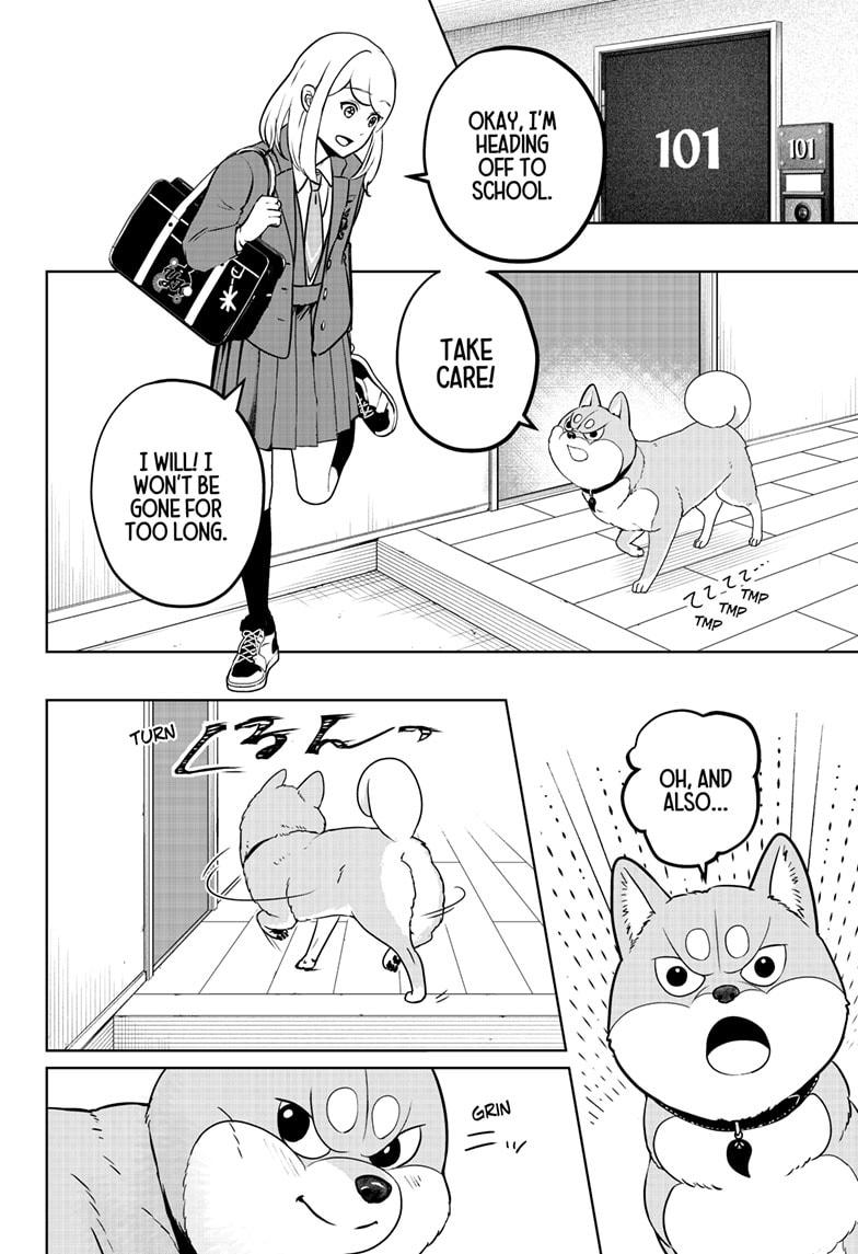 Shiba Inu Rooms Chap 25 - Next Chap 26
