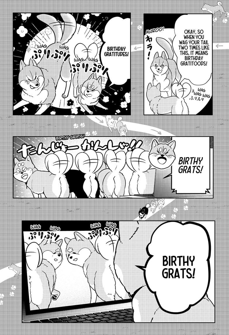 Shiba Inu Rooms Chap 25 - Next Chap 26
