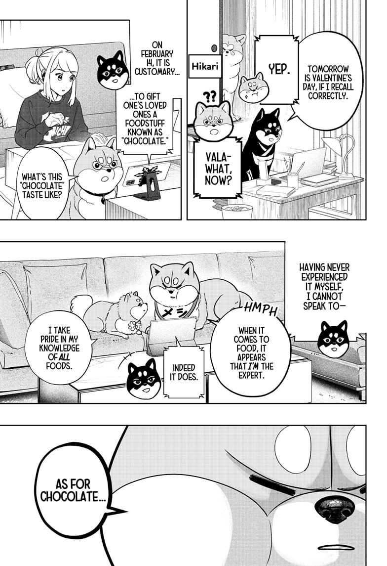 Shiba Inu Rooms Chap 20 - Next Chap 21