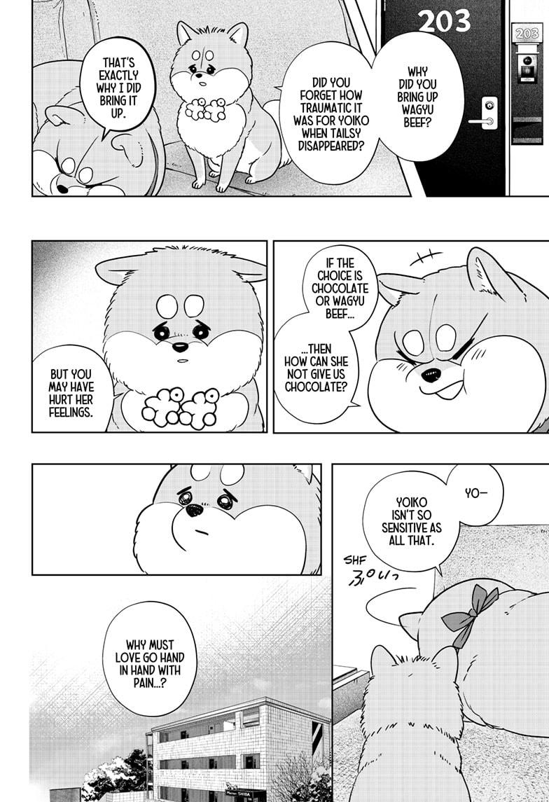 Shiba Inu Rooms Chap 20 - Next Chap 21