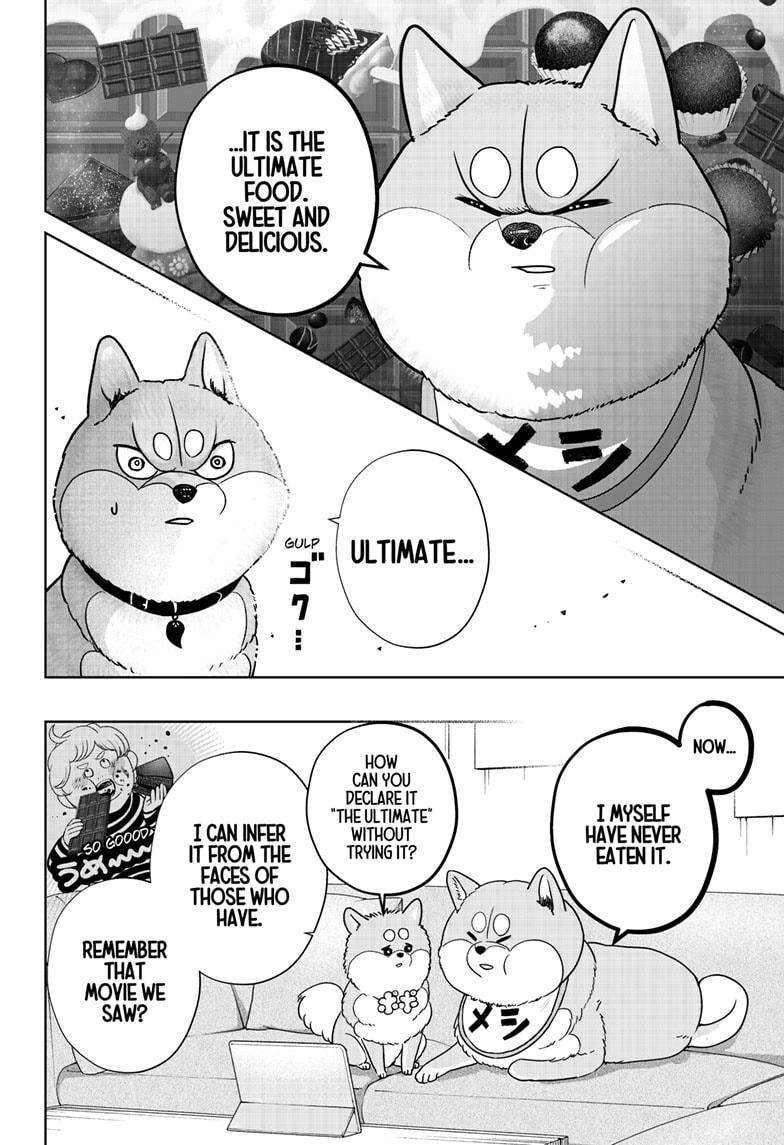 Shiba Inu Rooms Chap 20 - Next Chap 21