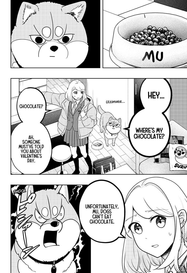 Shiba Inu Rooms Chap 20 - Next Chap 21