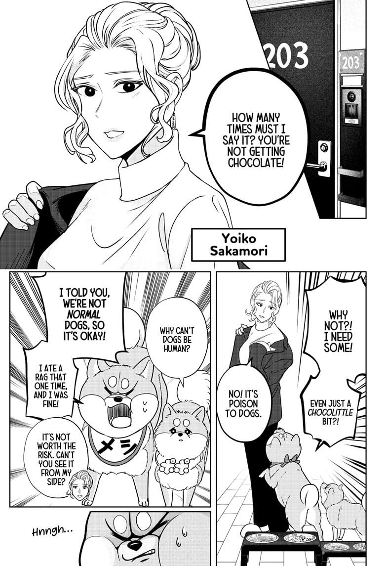 Shiba Inu Rooms Chap 20 - Next Chap 21