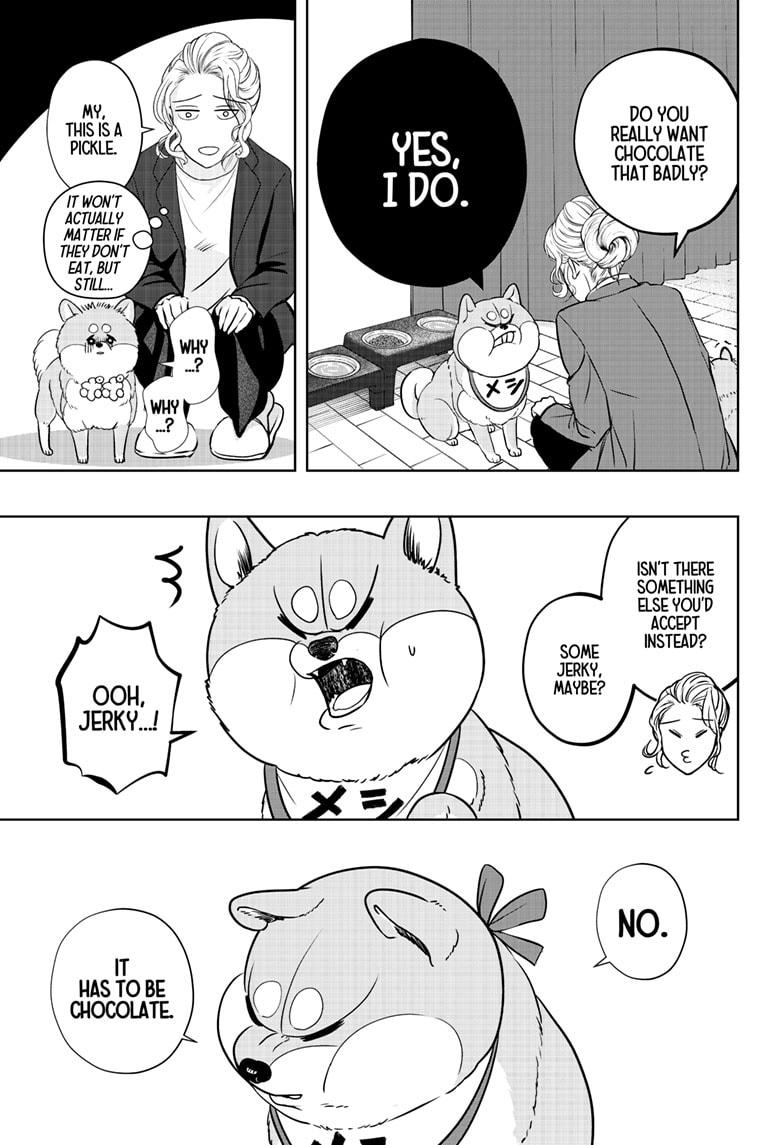 Shiba Inu Rooms Chap 20 - Next Chap 21