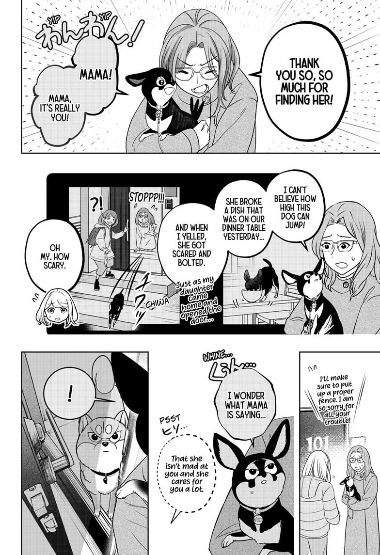 Shiba Inu Rooms Chap 21 - Next Chap 22