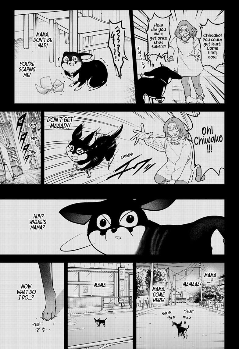 Shiba Inu Rooms Chap 21 - Next Chap 22