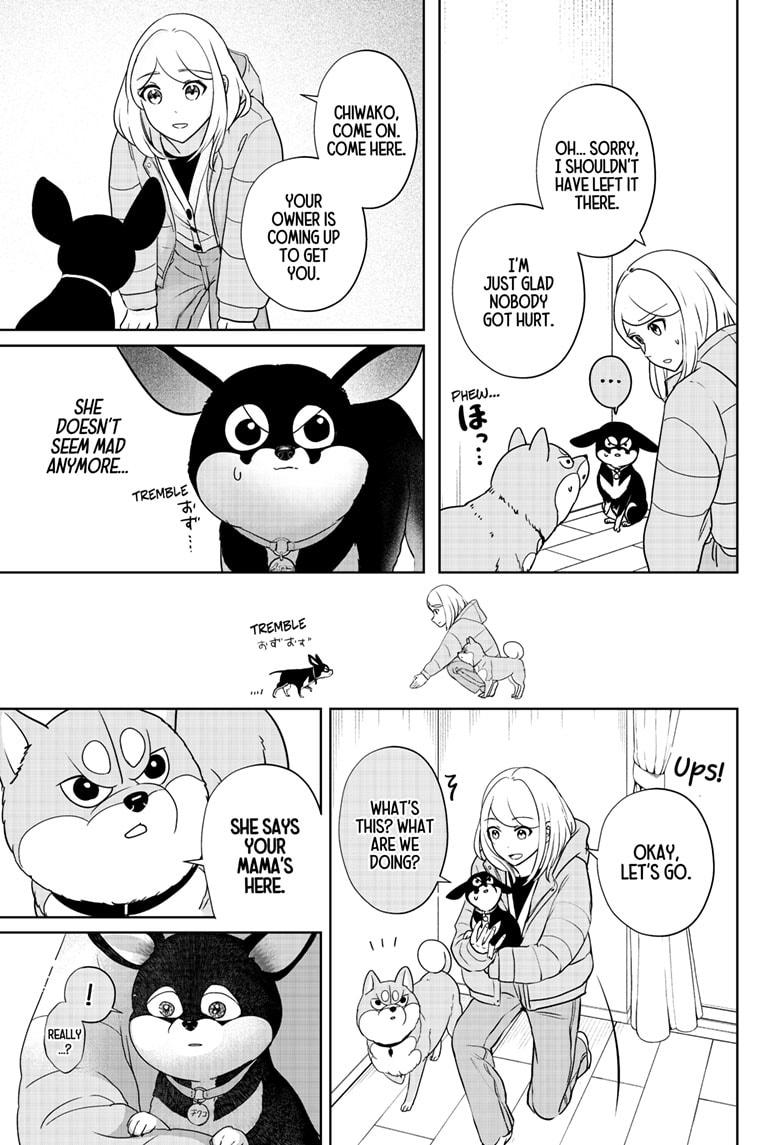 Shiba Inu Rooms Chap 21 - Next Chap 22