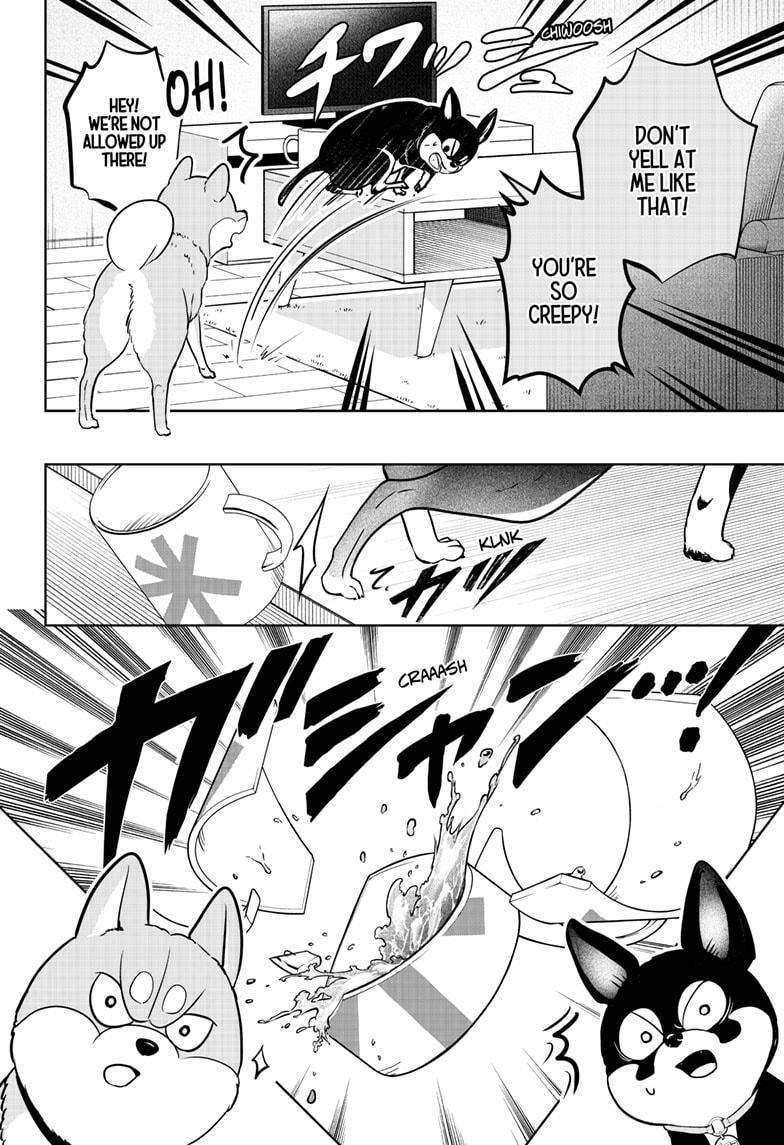 Shiba Inu Rooms Chap 21 - Next Chap 22