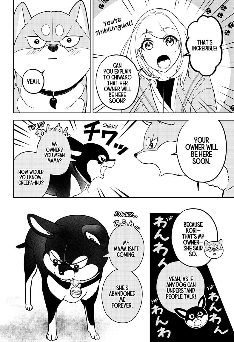 Shiba Inu Rooms Chap 21 - Next Chap 22