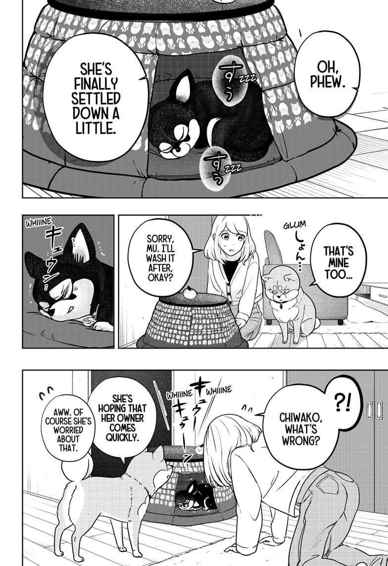 Shiba Inu Rooms Chap 21 - Next Chap 22