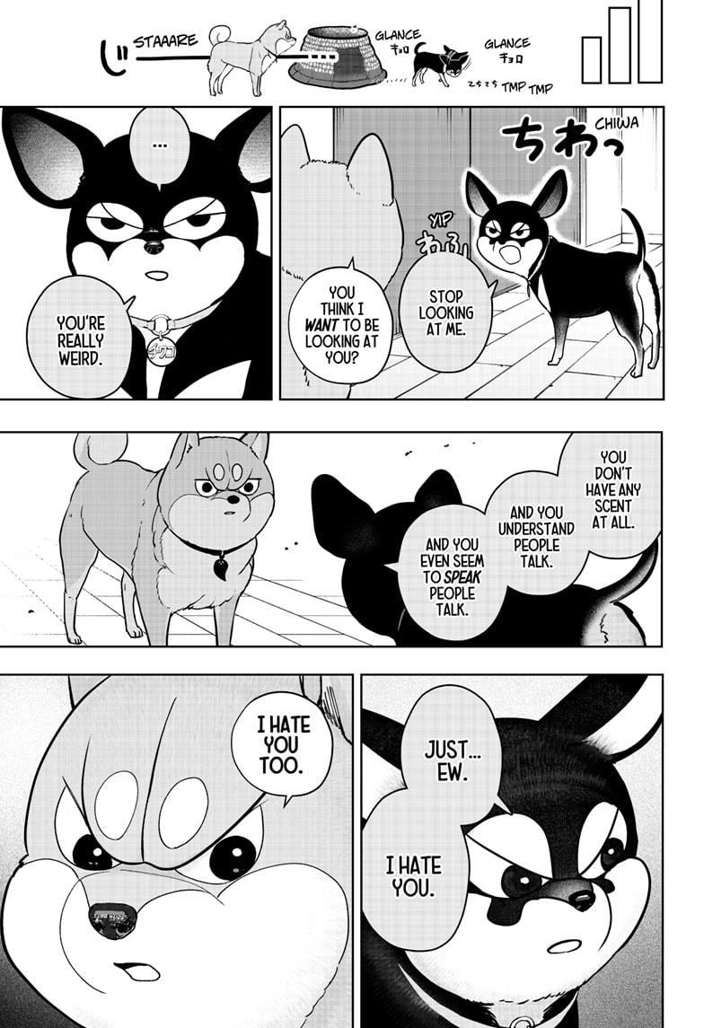 Shiba Inu Rooms Chap 21 - Next Chap 22