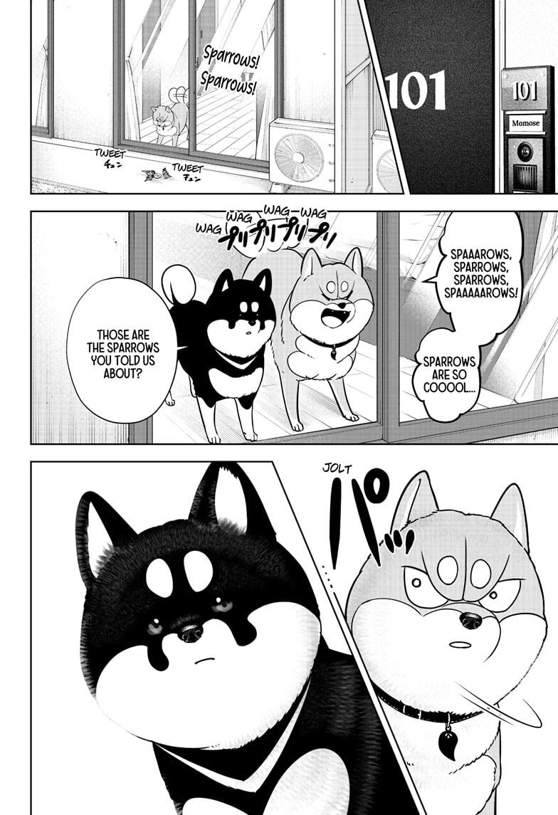 Shiba Inu Rooms Chap 22 - Next Chap 23