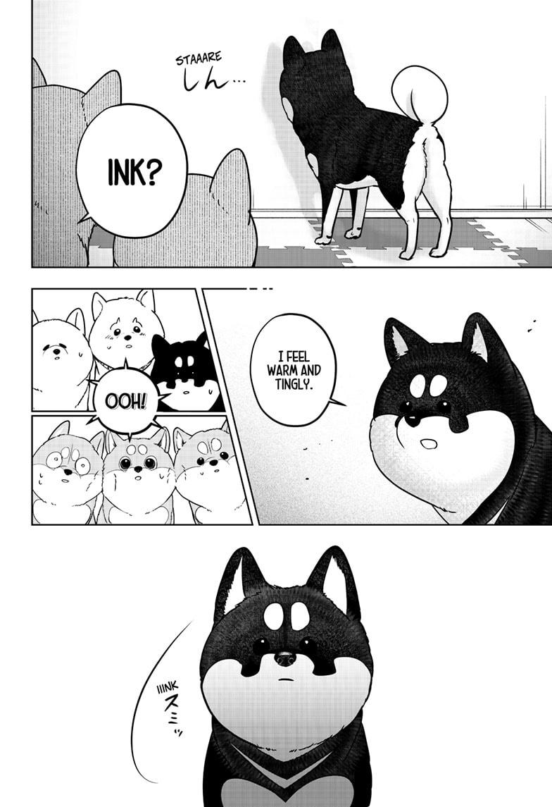 Shiba Inu Rooms Chap 22 - Next Chap 23