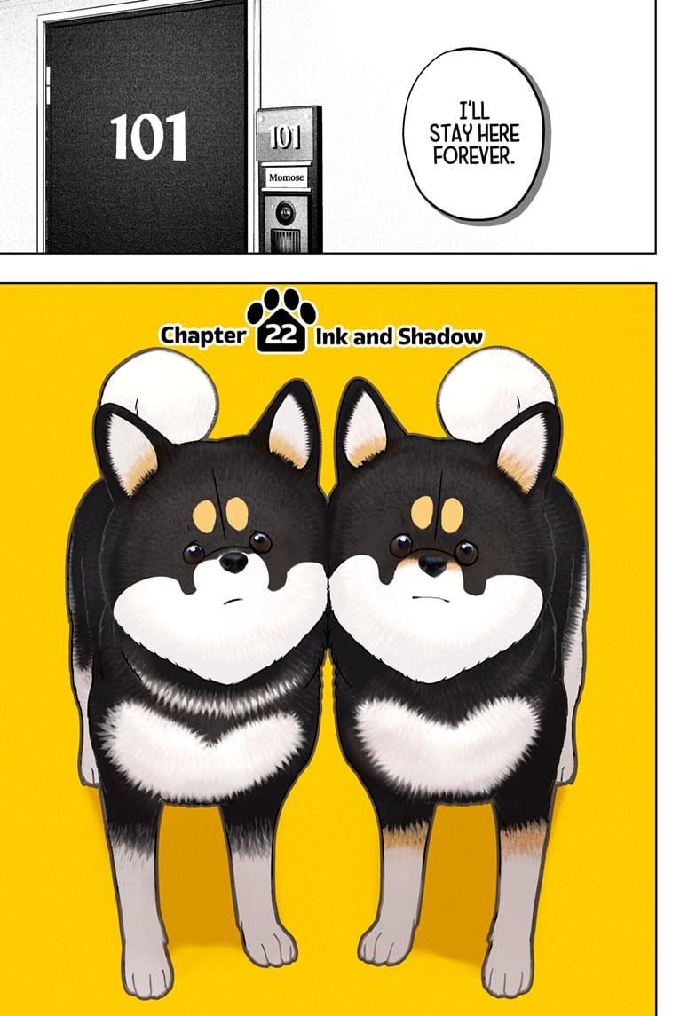 Shiba Inu Rooms Chap 22 - Next Chap 23