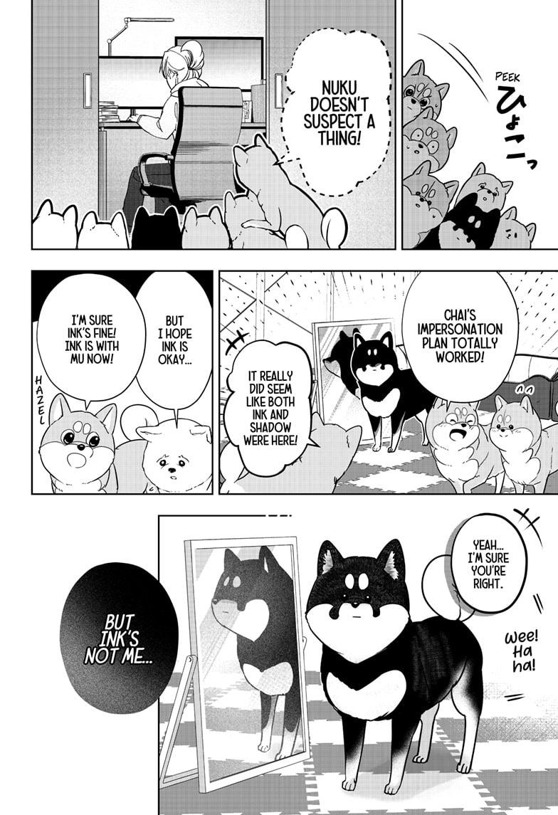 Shiba Inu Rooms Chap 22 - Next Chap 23