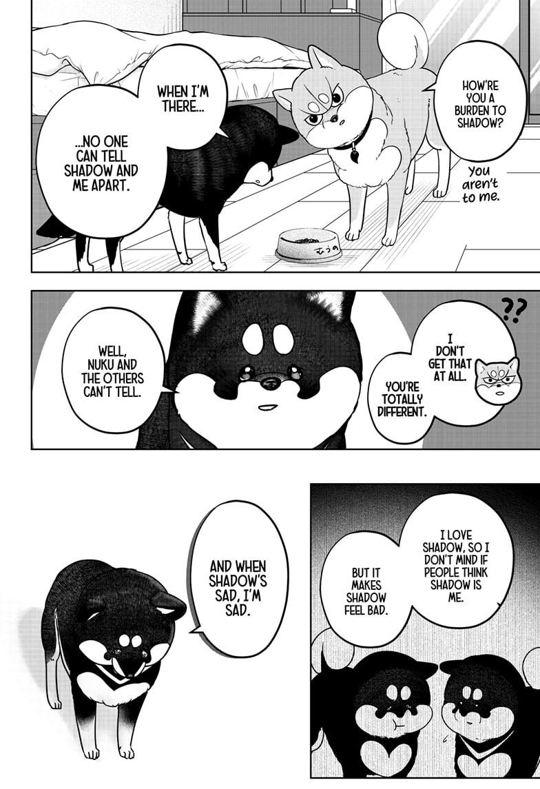 Shiba Inu Rooms Chap 22 - Next Chap 23