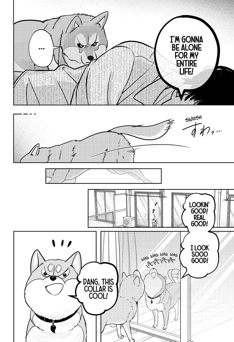 Shiba Inu Rooms Chap 23 - Next Chap 24