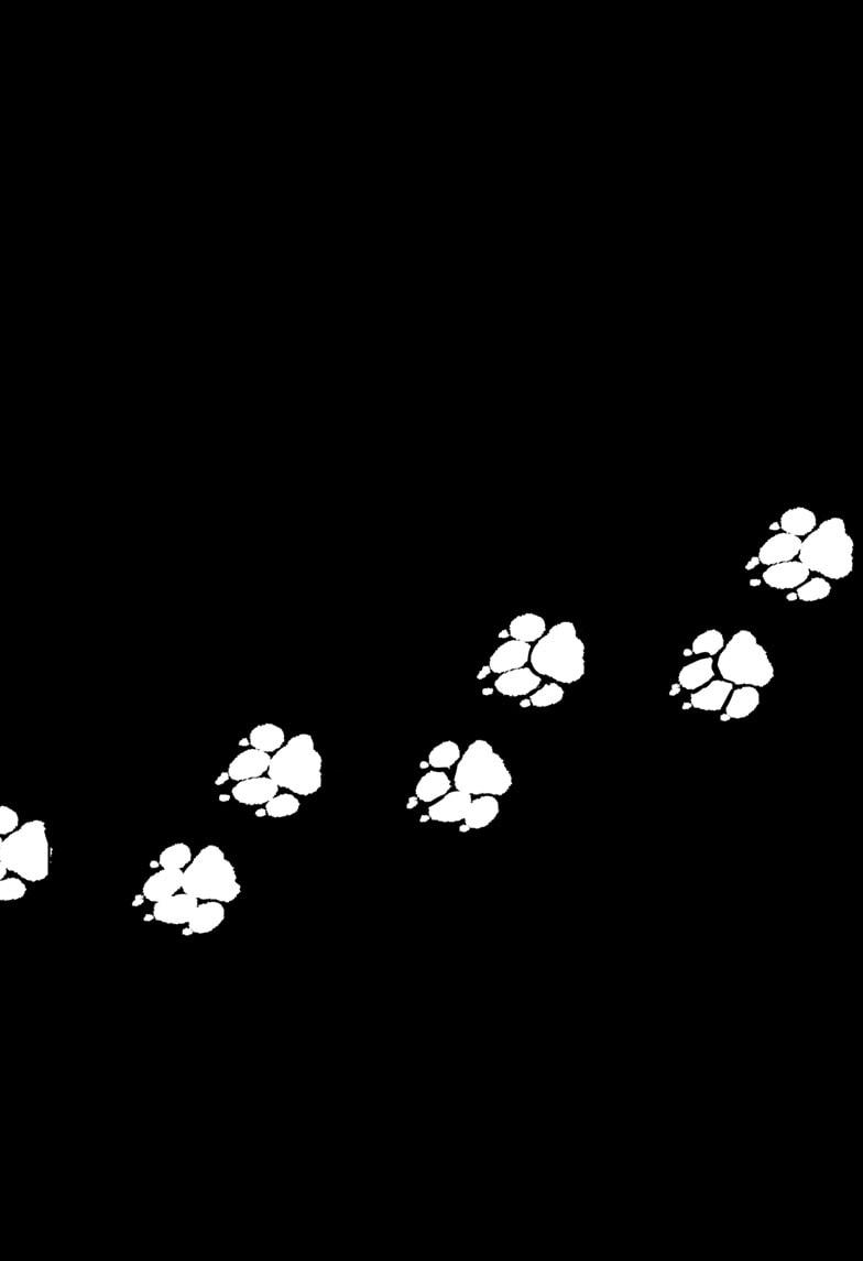 Shiba Inu Rooms Chap 23 - Next Chap 24