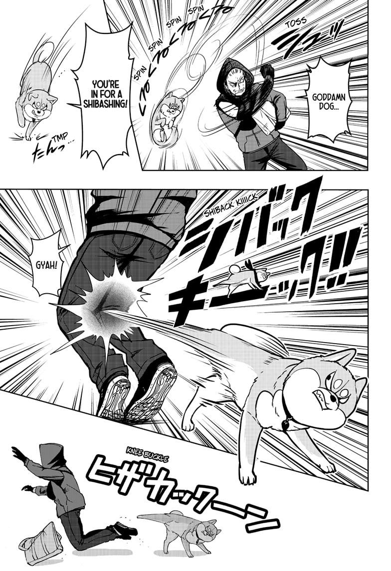 Shiba Inu Rooms Chap 37 - Next Chap 38