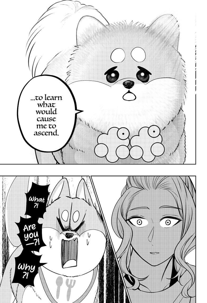 Shiba Inu Rooms Chap 34 - Next Chap 35