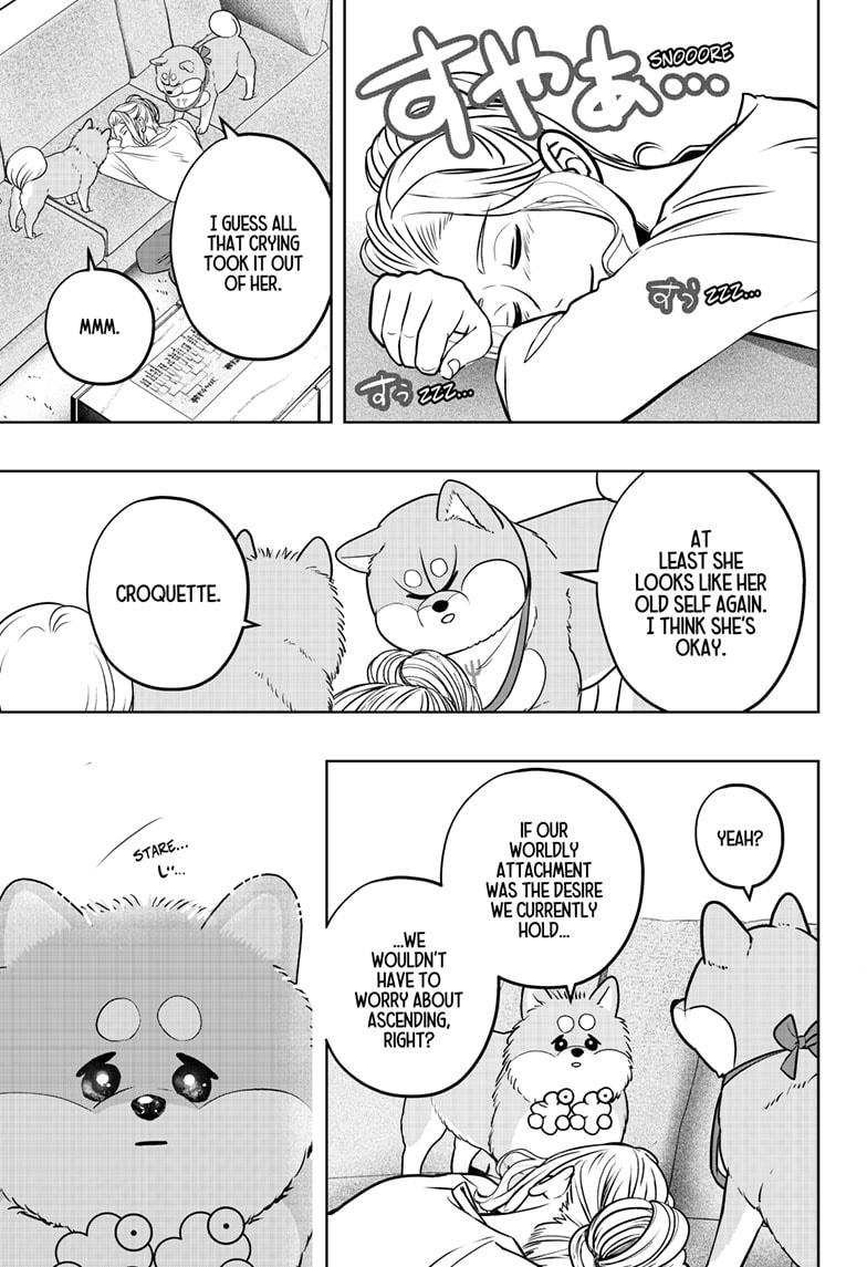 Shiba Inu Rooms Chap 34 - Next Chap 35