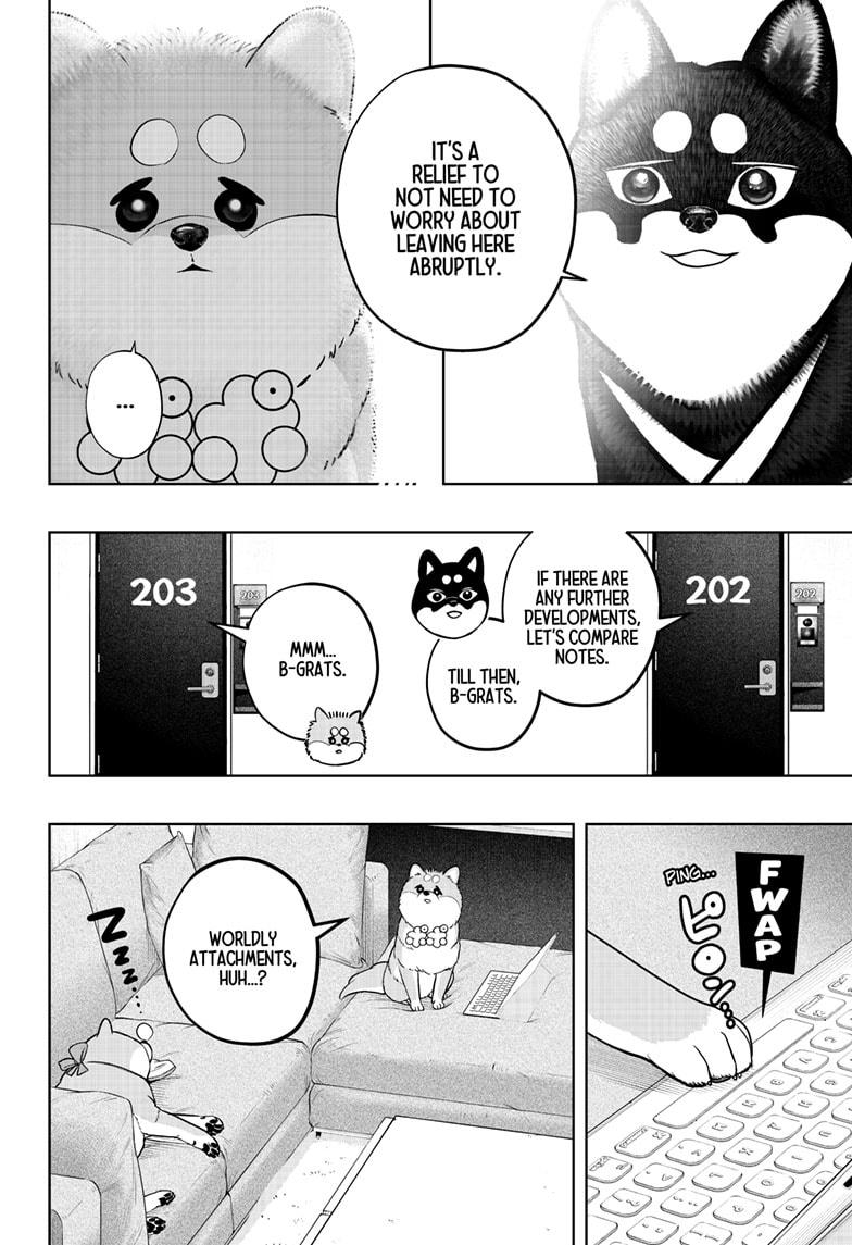 Shiba Inu Rooms Chap 34 - Next Chap 35