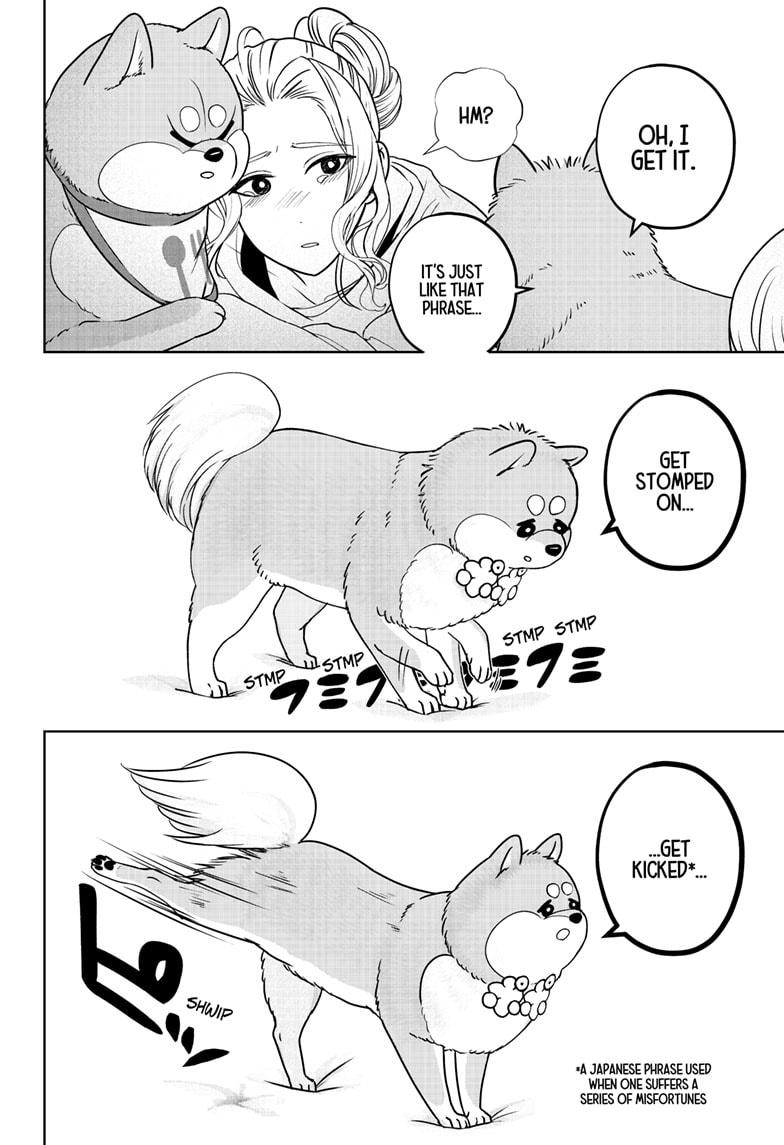 Shiba Inu Rooms Chap 34 - Next Chap 35
