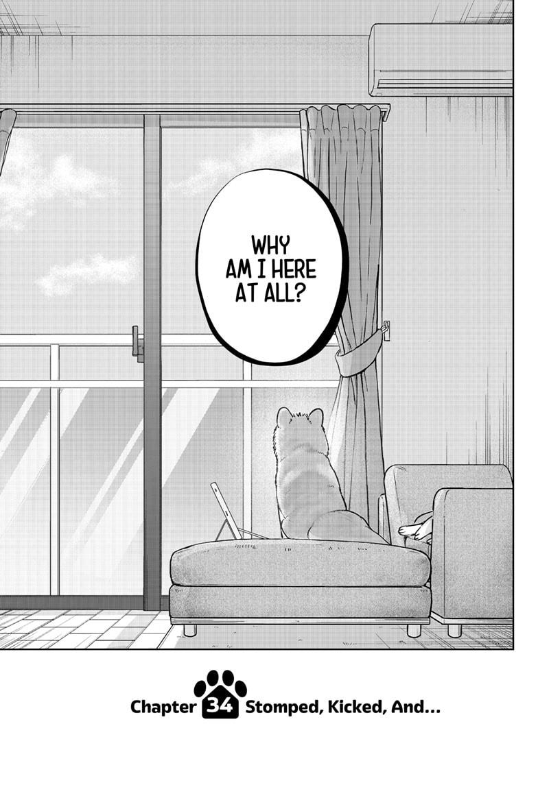 Shiba Inu Rooms Chap 34 - Next Chap 35