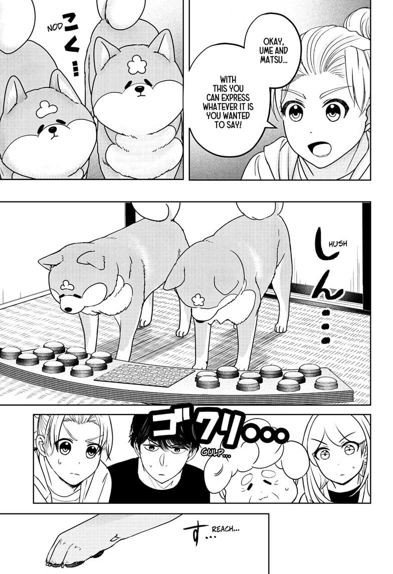 Shiba Inu Rooms Chap 35 - Next Chap 36