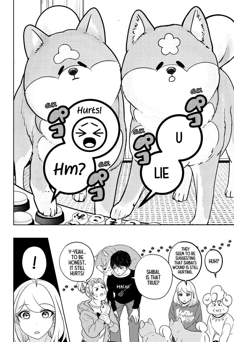 Shiba Inu Rooms Chap 35 - Next Chap 36