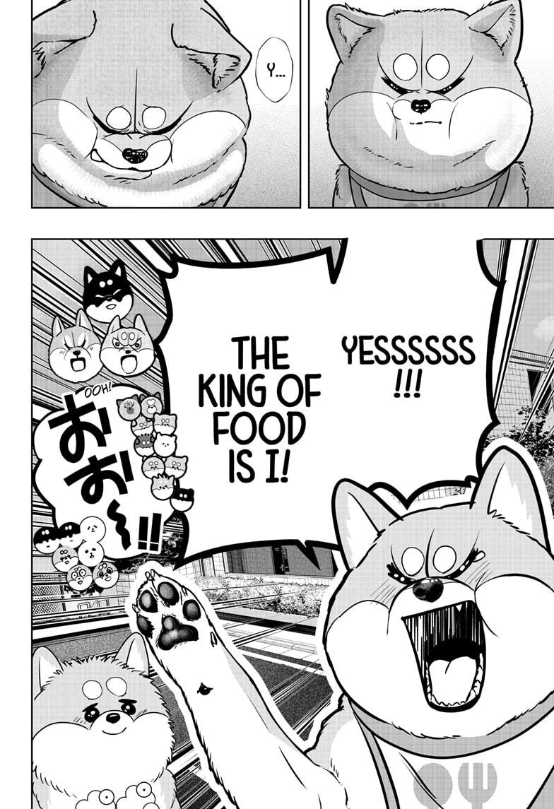 Shiba Inu Rooms Chap 36 - Next Chap 37