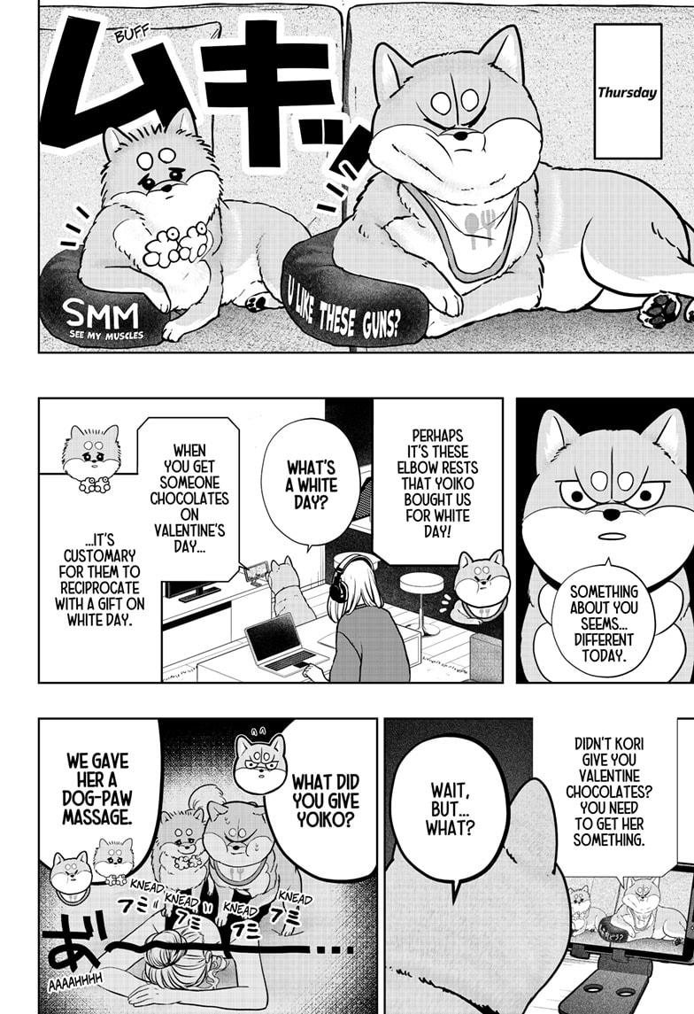 Shiba Inu Rooms Chap 38 - Next Chap 39