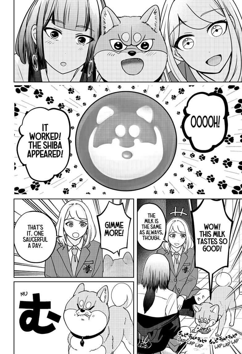 Shiba Inu Rooms Chap 38 - Next Chap 39