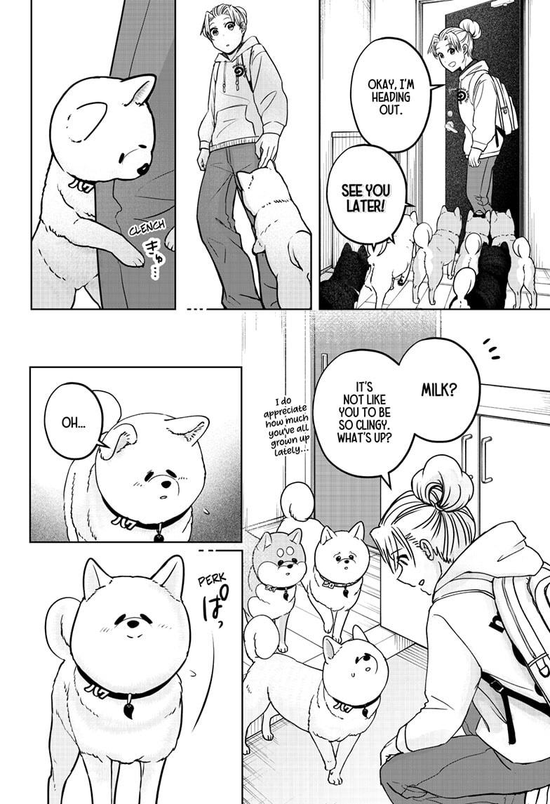 Shiba Inu Rooms Chap 39 - Next Chap 40