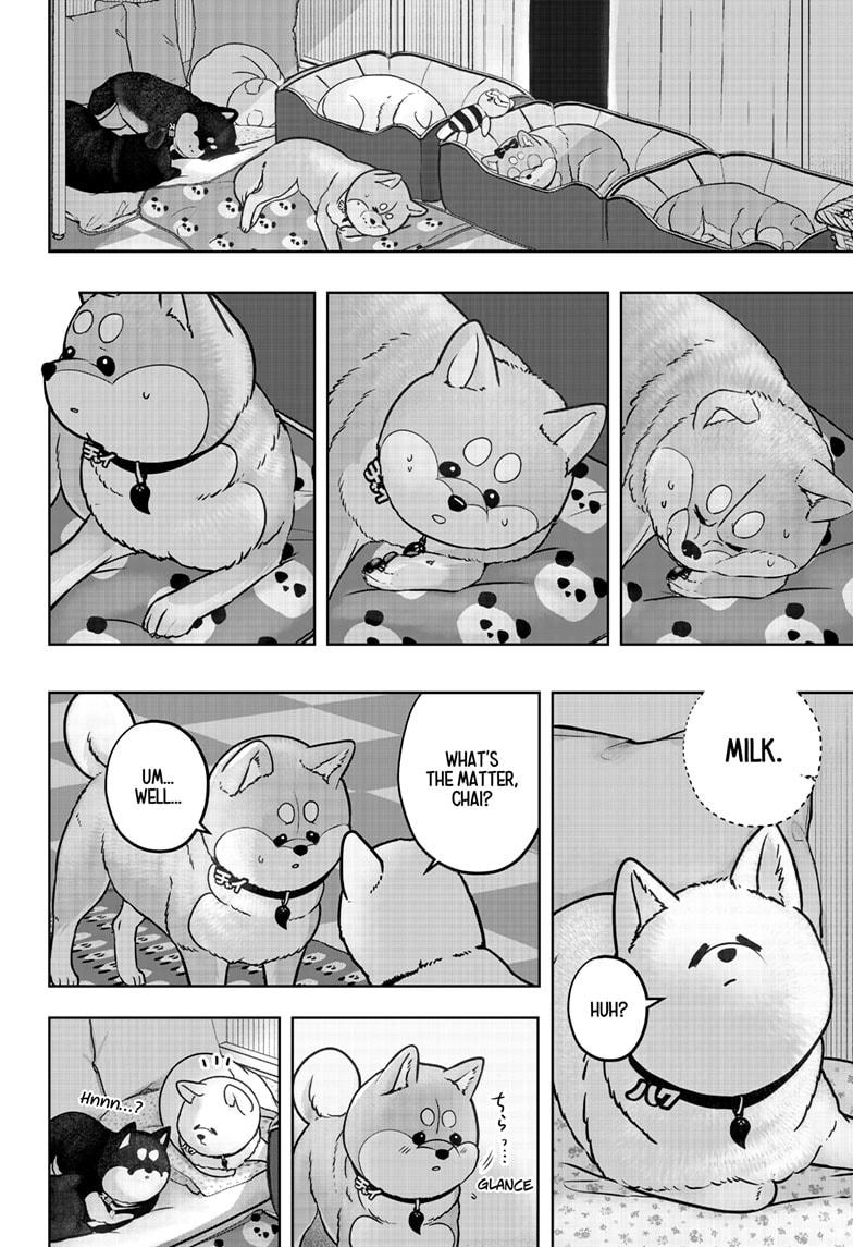 Shiba Inu Rooms Chap 39 - Next Chap 40