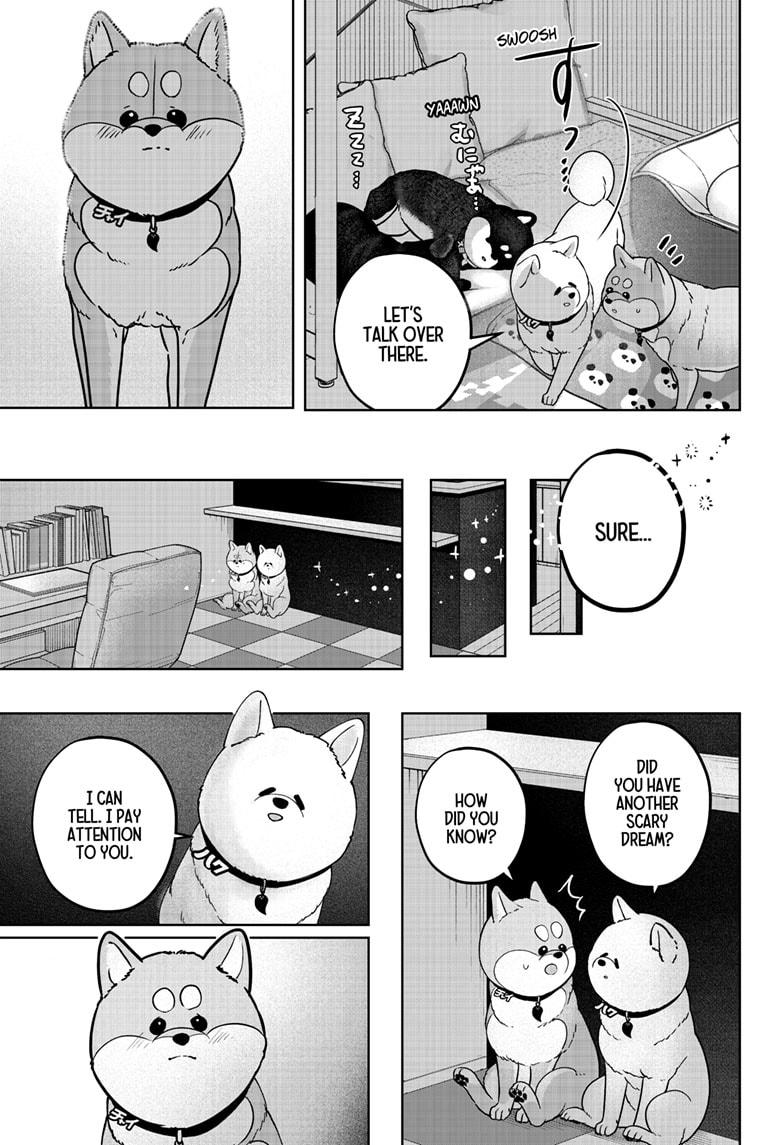 Shiba Inu Rooms Chap 39 - Next Chap 40