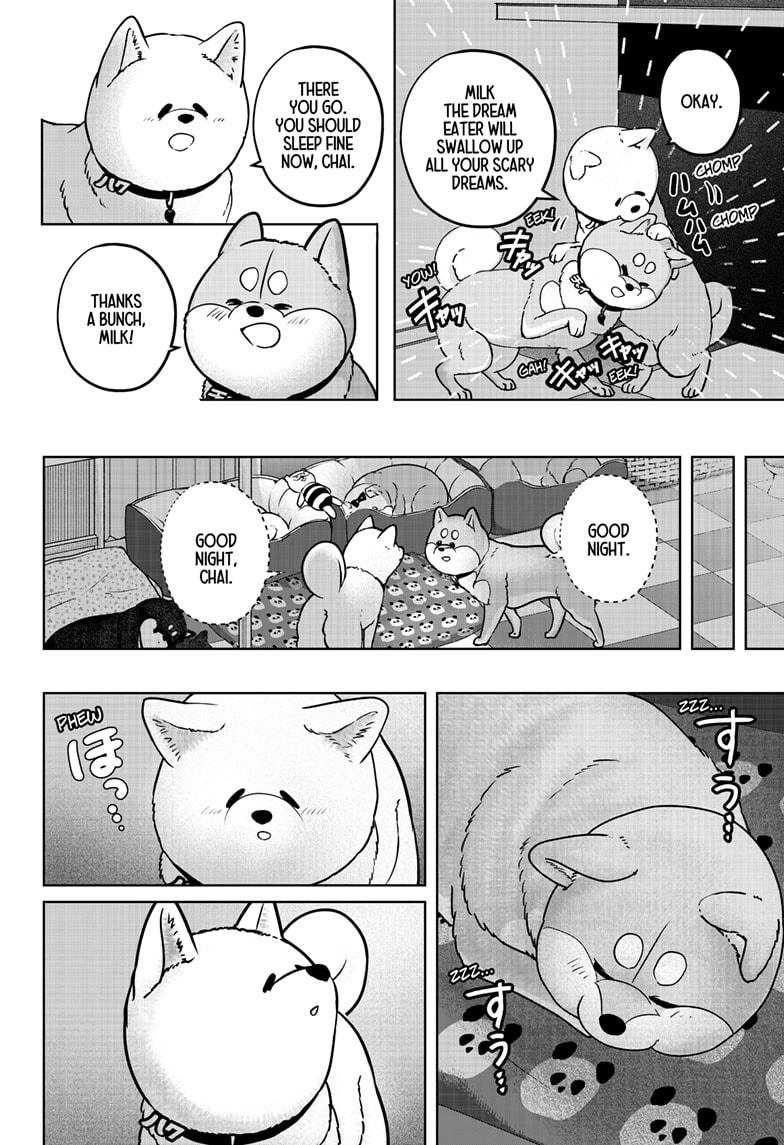 Shiba Inu Rooms Chap 39 - Next Chap 40