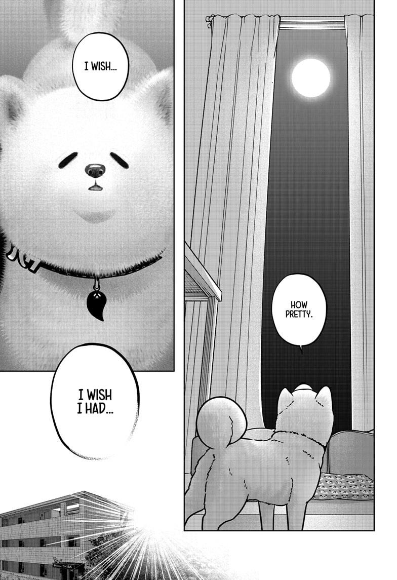 Shiba Inu Rooms Chap 39 - Next Chap 40