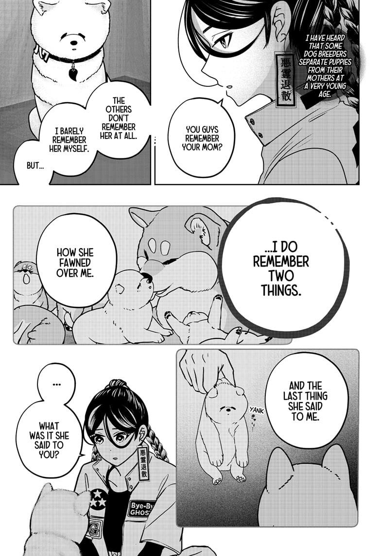 Shiba Inu Rooms Chap 39 - Next Chap 40