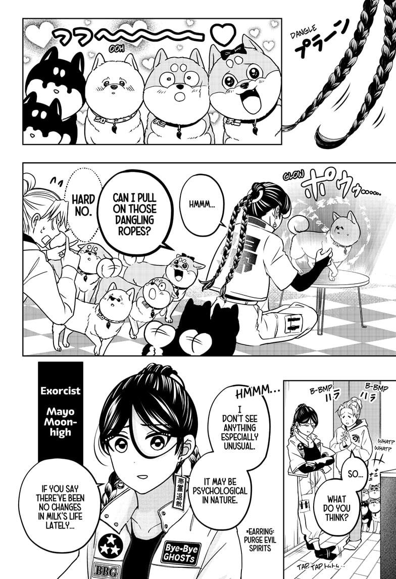 Shiba Inu Rooms Chap 39 - Next Chap 40