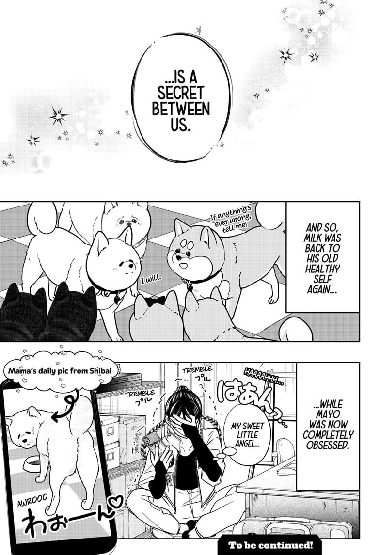 Shiba Inu Rooms Chap 39 - Next Chap 40
