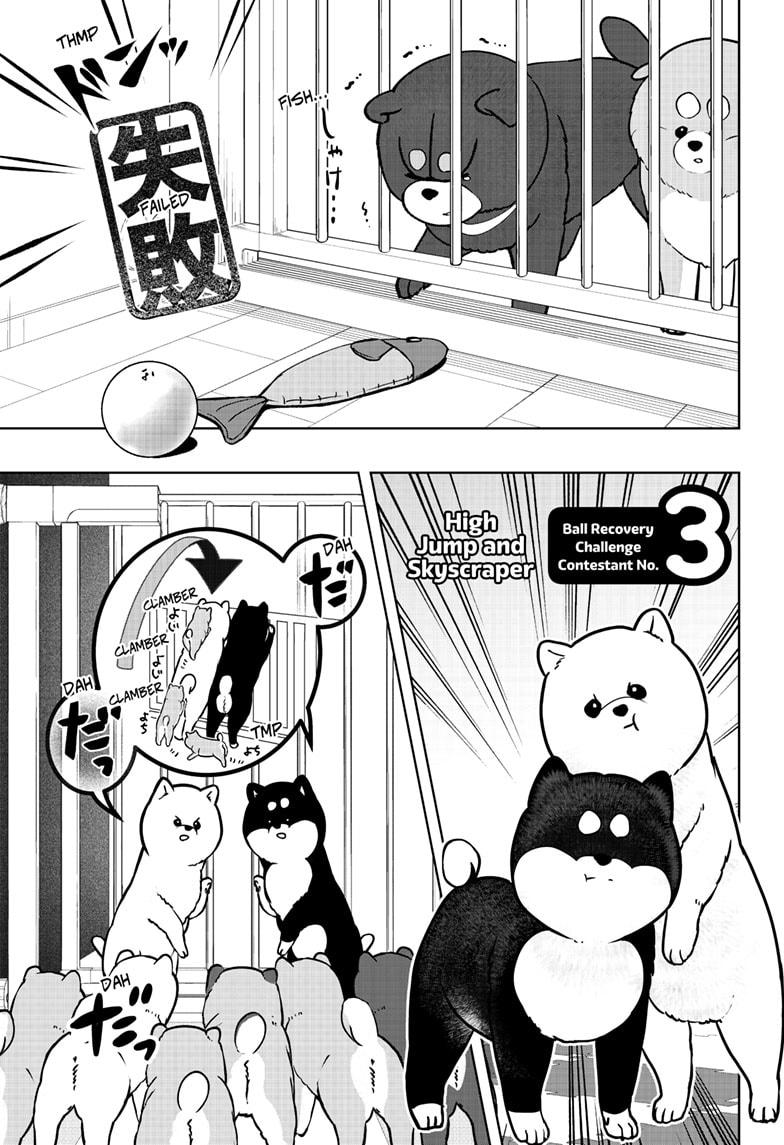 Shiba Inu Rooms Chap 32 - Next Chap 33