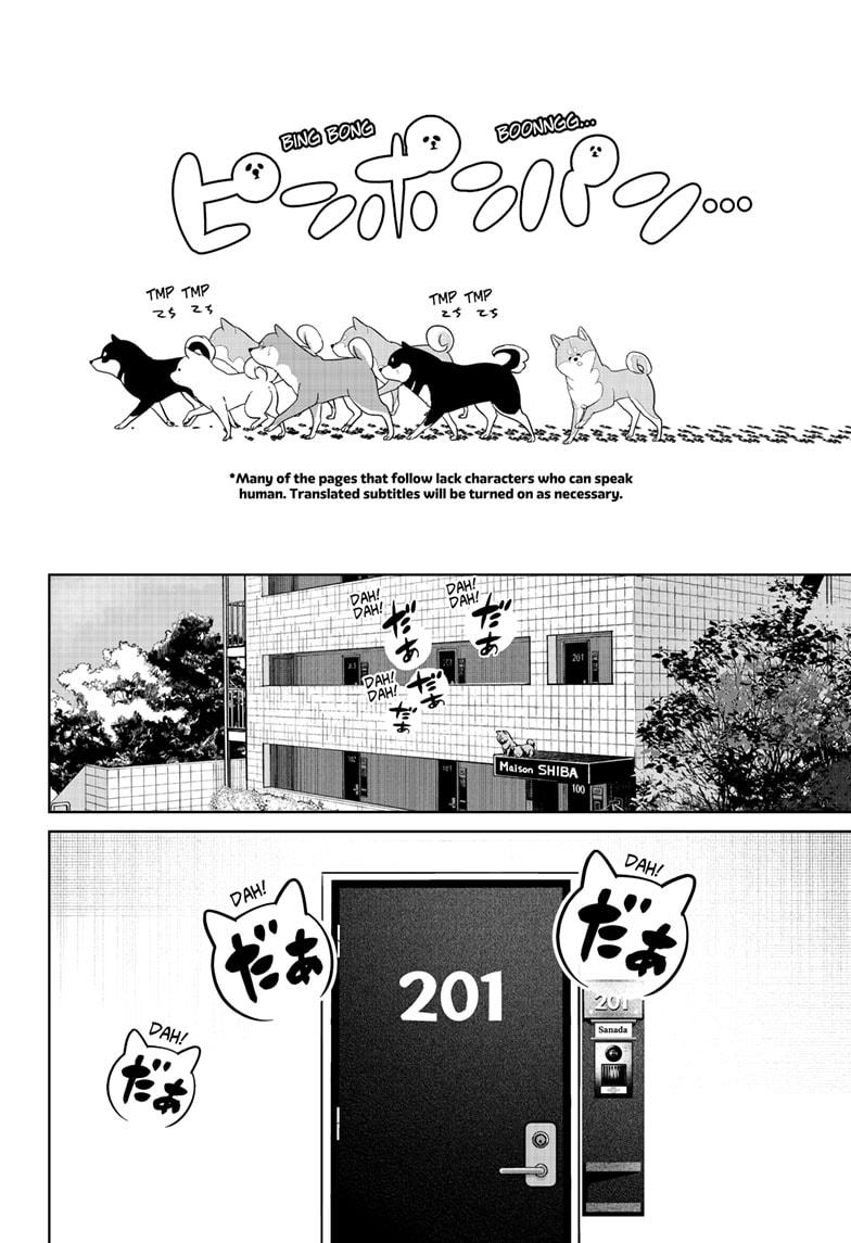 Shiba Inu Rooms Chap 32 - Next Chap 33