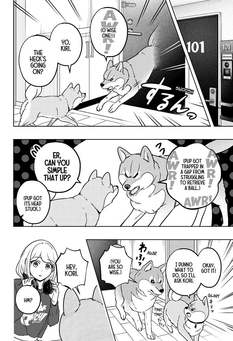 Shiba Inu Rooms Chap 32 - Next Chap 33