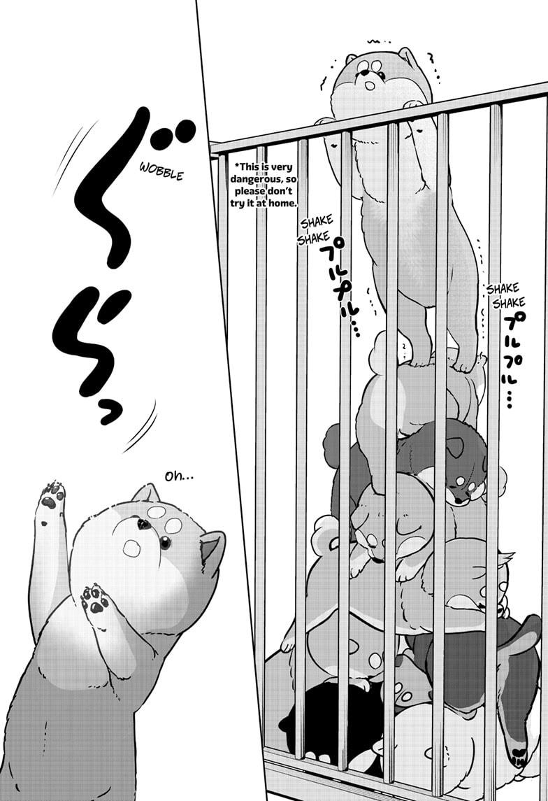 Shiba Inu Rooms Chap 32 - Next Chap 33