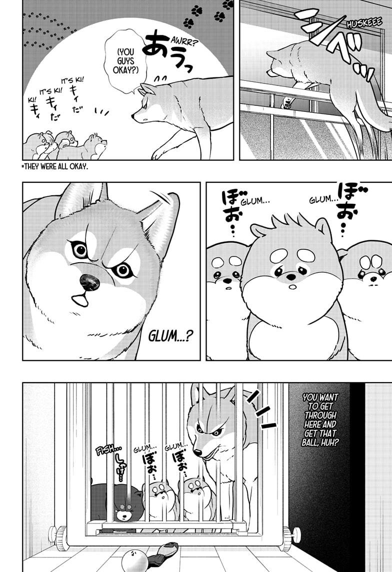 Shiba Inu Rooms Chap 32 - Next Chap 33
