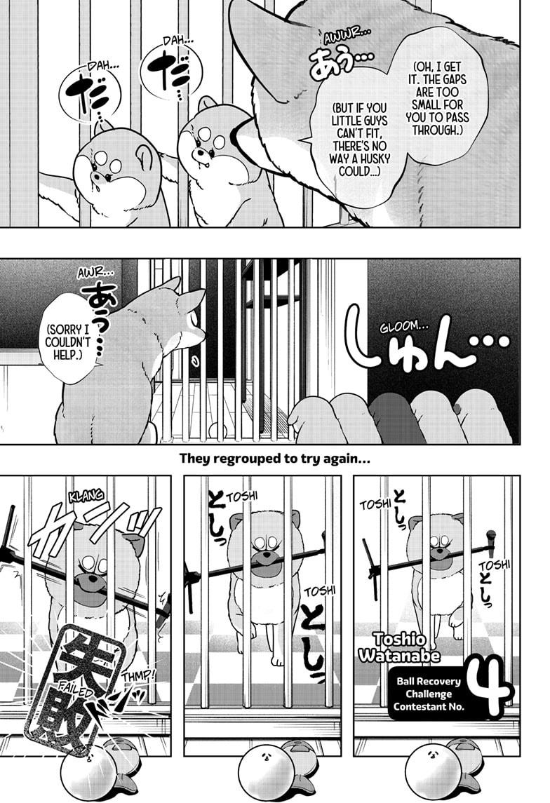 Shiba Inu Rooms Chap 32 - Next Chap 33