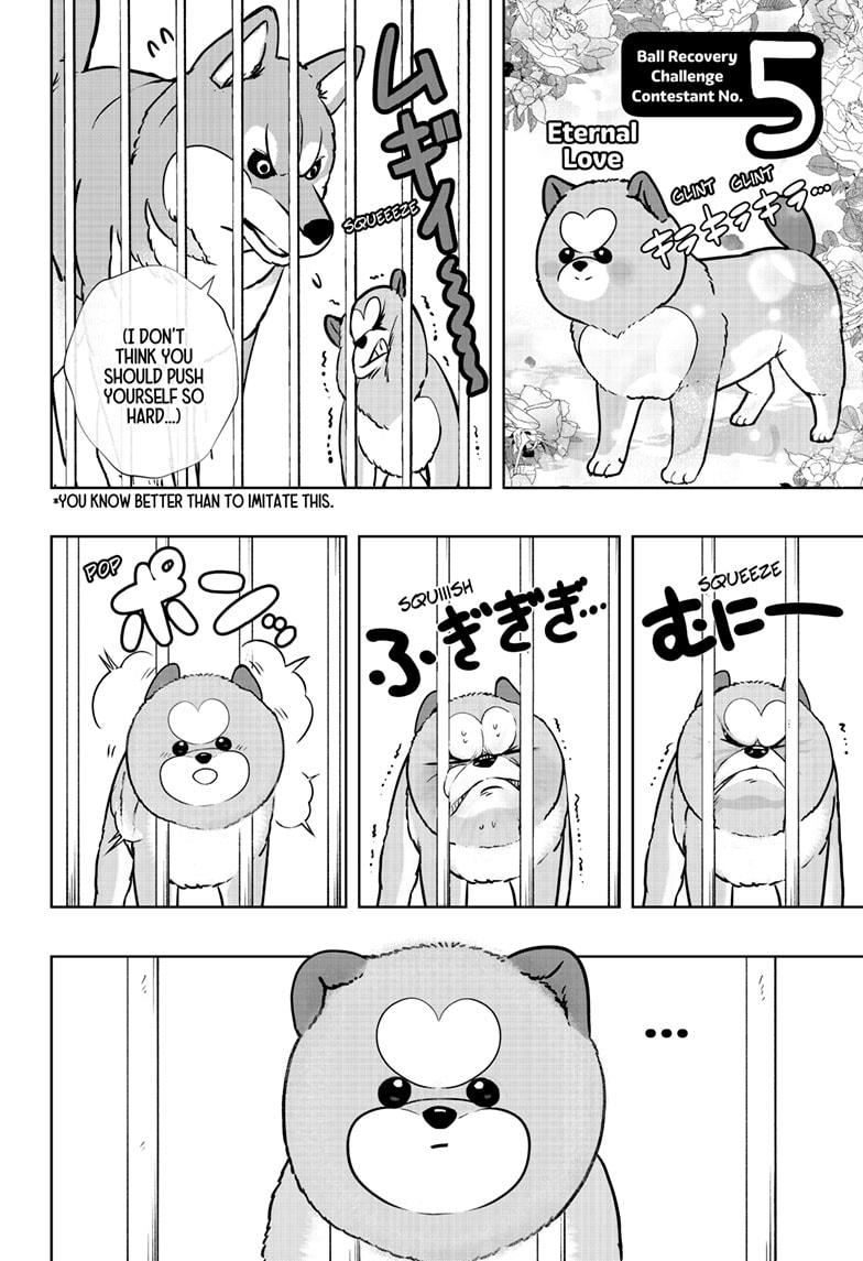 Shiba Inu Rooms Chap 32 - Next Chap 33