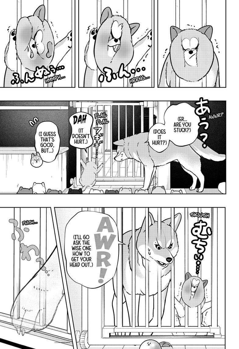 Shiba Inu Rooms Chap 32 - Next Chap 33