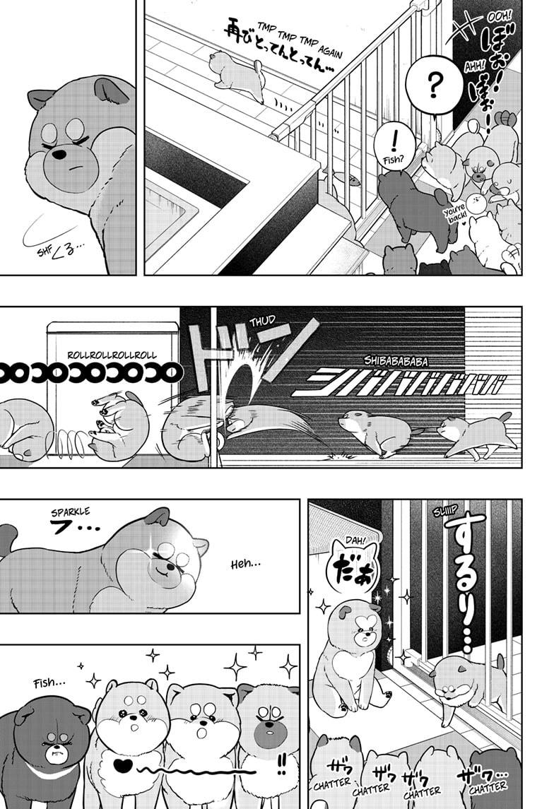 Shiba Inu Rooms Chap 32 - Next Chap 33